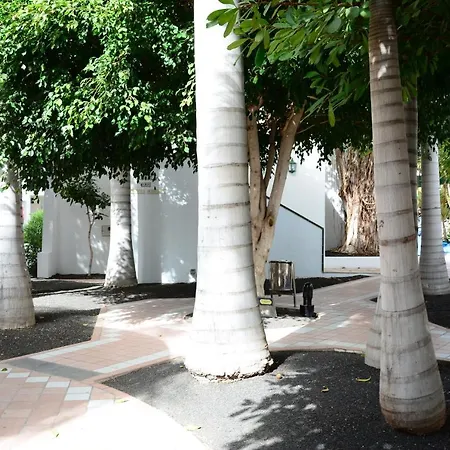 Thb Royal 플라야블랑카